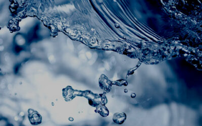 Jakość wody – normy i parametry w Polsce (2026). Przewodnik dla firm i właścicieli studni