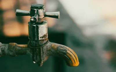 Żelazo i mangan w wodzie ze studni – skąd się biorą i jak skutecznie je usunąć?